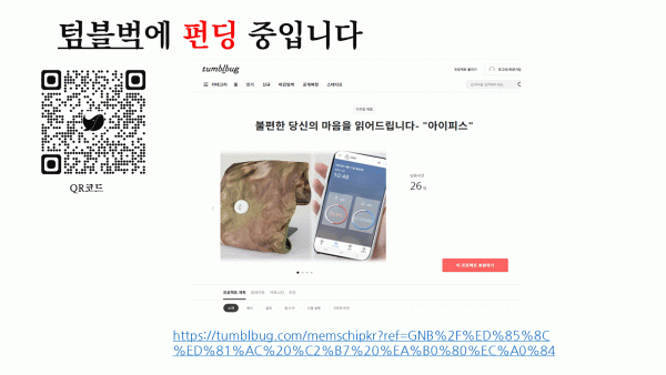 크라우드 펀딩 시작